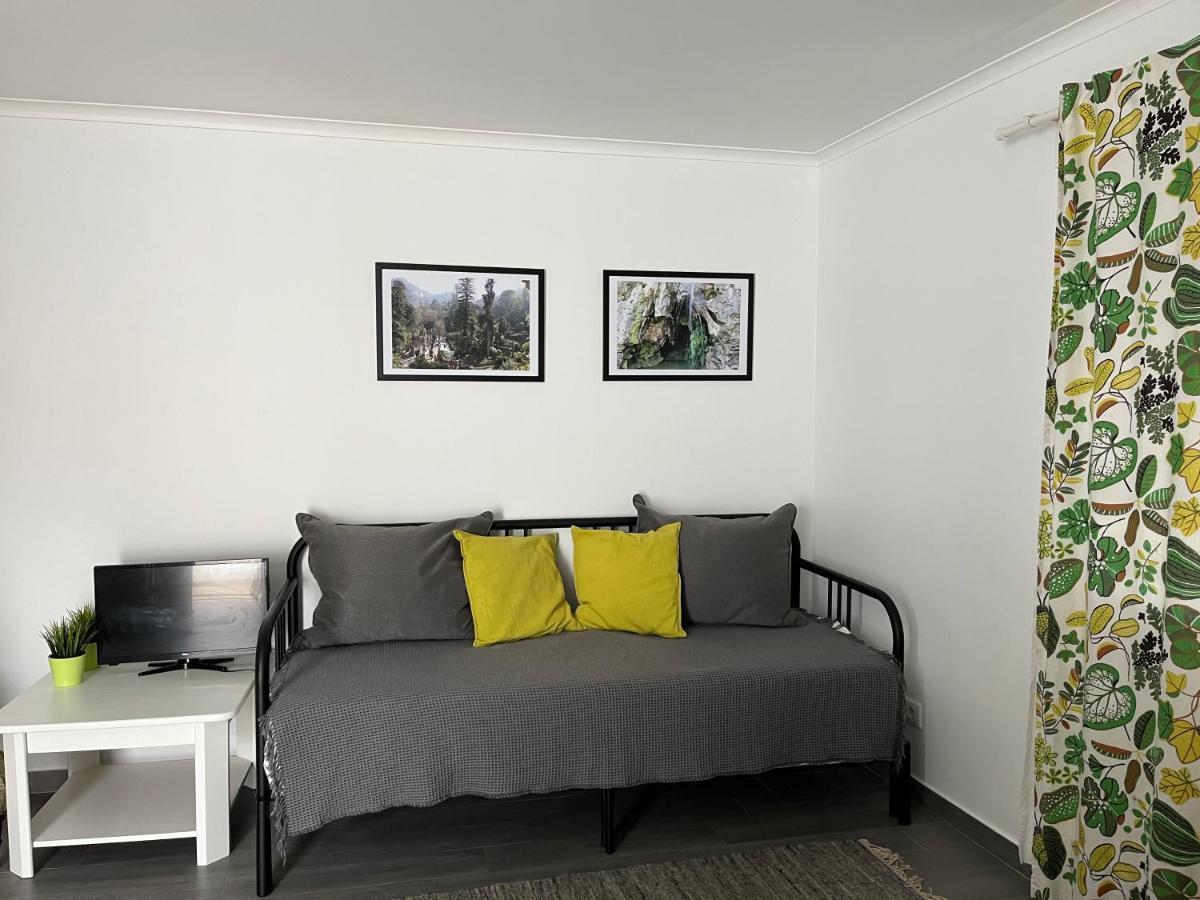 סינטרה Cozy Green Apartment מראה חיצוני תמונה